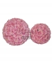 SFERA ROSE NOLEGGIO