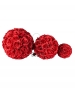 SFERA ROSE NOLEGGIO